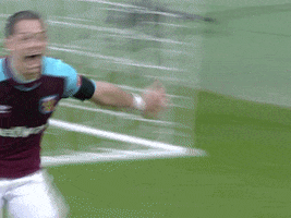 premier league epl GIF by West Ham United