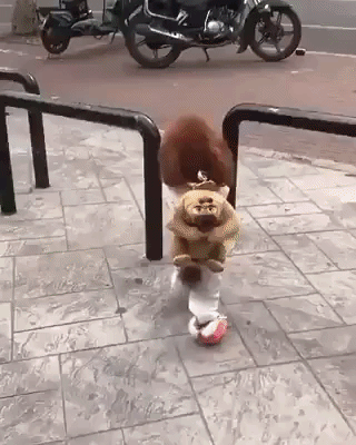funny action GIF
