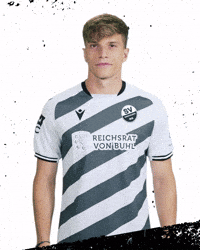3Liga Wirechtanders GIF by SV Sandhausen