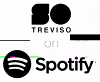 SO-Treviso art music fashion spotify GIF