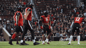College Football Ncaa GIF by Cincinnati Bearcats