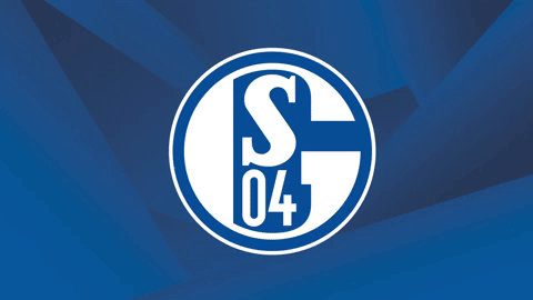 GIF by FC Schalke 04