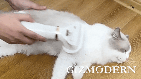 GizModern giphyupload GIF