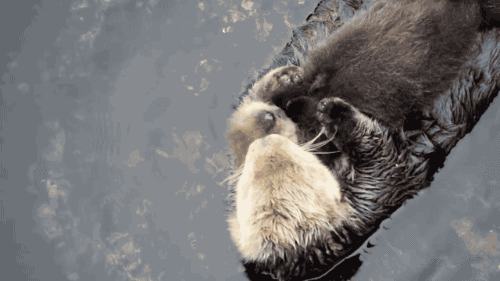 snuggle GIF