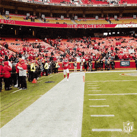 Excited National Football League GIF by NFL
