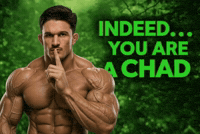 Jean Paul Lebosnoyani GIF