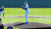 Baseball GIF by TCABB