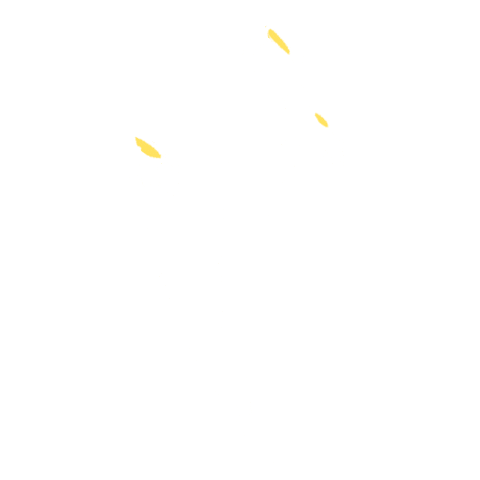 Flowers Daisy Sticker