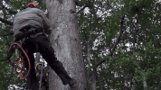 josh gates swing GIF