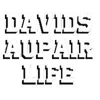 Davidaupair Sticker