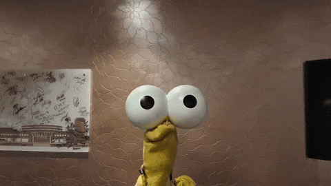 SaschaGrammel yes ja sock sascha GIF