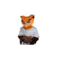 Ncaa Mascot Sticker by Rowan University