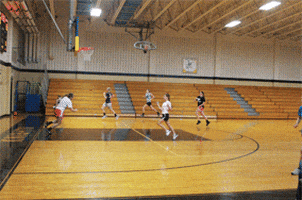 basketball GIF