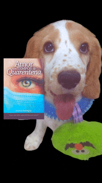 amandaboaviagem amor cachorro fofo viagem GIF