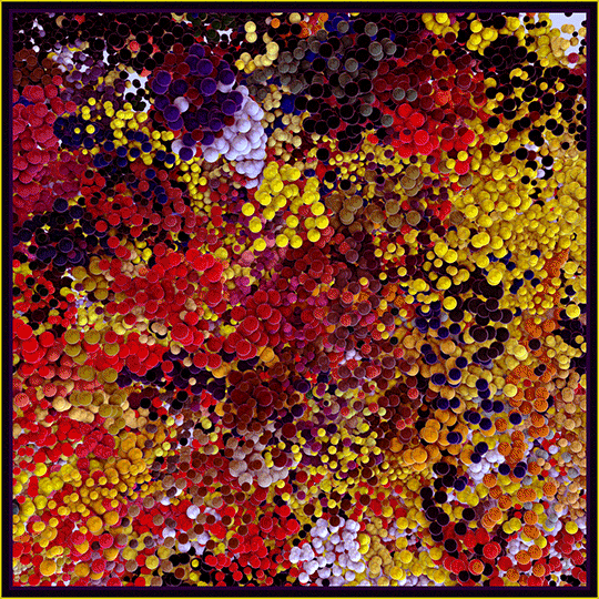 loop render GIF by xponentialdesign