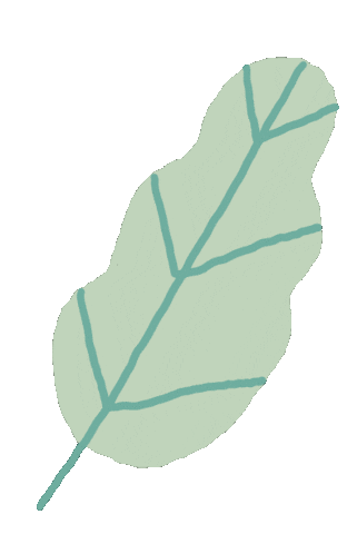 Vegetable Lettuce Sticker by Sara Maese