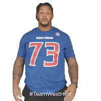 Buffalo Bills Sticker by West Herr