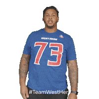 Buffalo Bills Sticker by West Herr