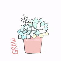 Waveygifs pink aesthetic words plants GIF