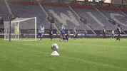 Football Celebration GIF by Wigan Athletic