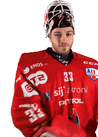 Hockey Goaly Sticker by HDD SIJ Acroni Jesenice