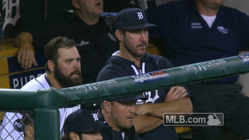celebrate detroit tigers GIF by MLB