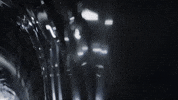 Tommy GIF by Nettspend