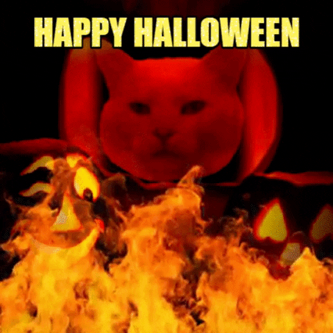 WolfStar giphygifmaker halloween happy halloween smudge GIF
