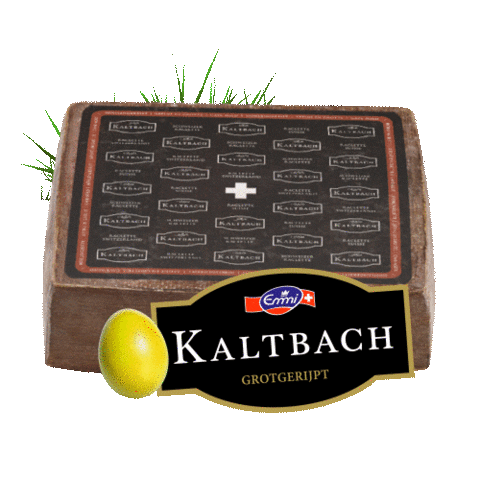 Emmicheesenl giphyupload Sticker