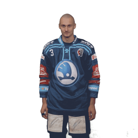 Hockey Hokej Sticker by HC Škoda Plzeň