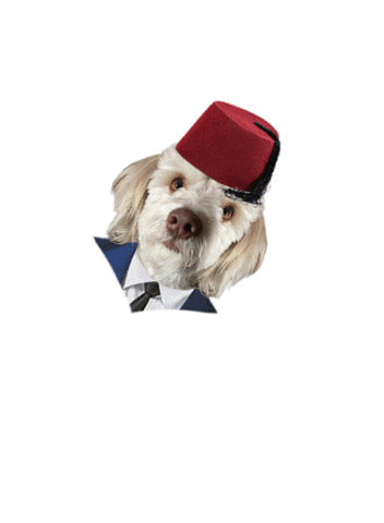 Dog Sticker by Gatooss