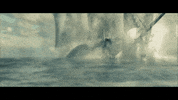 GIF by Giffffr