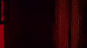 Looking I See You GIF by Leroy Patterson