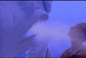 breathe cabin boy GIF by Laff
