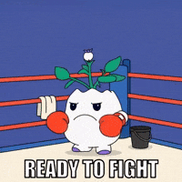 Fight Night Fighting GIF by Magic Eden