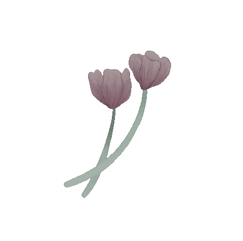 Maximeee giphyupload nature flower flowers Sticker