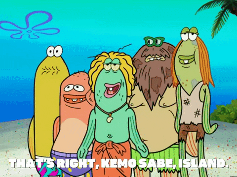 season 6 GIF by SpongeBob SquarePants