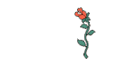 pinotandrock rock festival kuss blume Sticker