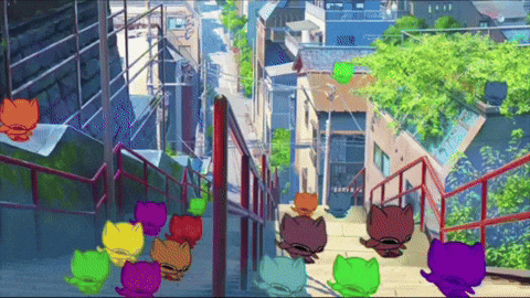 Cat Bop GIF