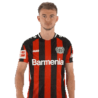 Daley Sinkgraven Mic Drop Sticker by Bayer 04 Leverkusen