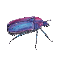 cubew3 cubie cubew3 Sticker