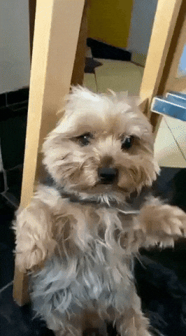 Good Night Hello GIF