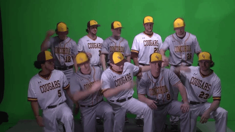 baseball GIF