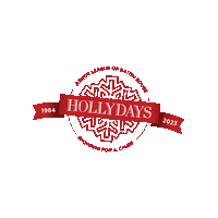 Hollydays Sticker by Juniorleaguebr