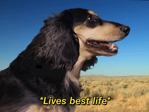 *Lives Best Life*
