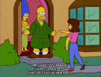 homer simpson GIF