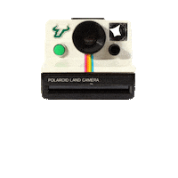 Back To School Usf Sticker by University of South Florida