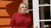 Dog GIF by Channel 7