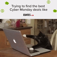 black friday shopping GIF by ebatescanada