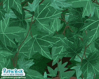 Sad Face GIF by Puffin Rock